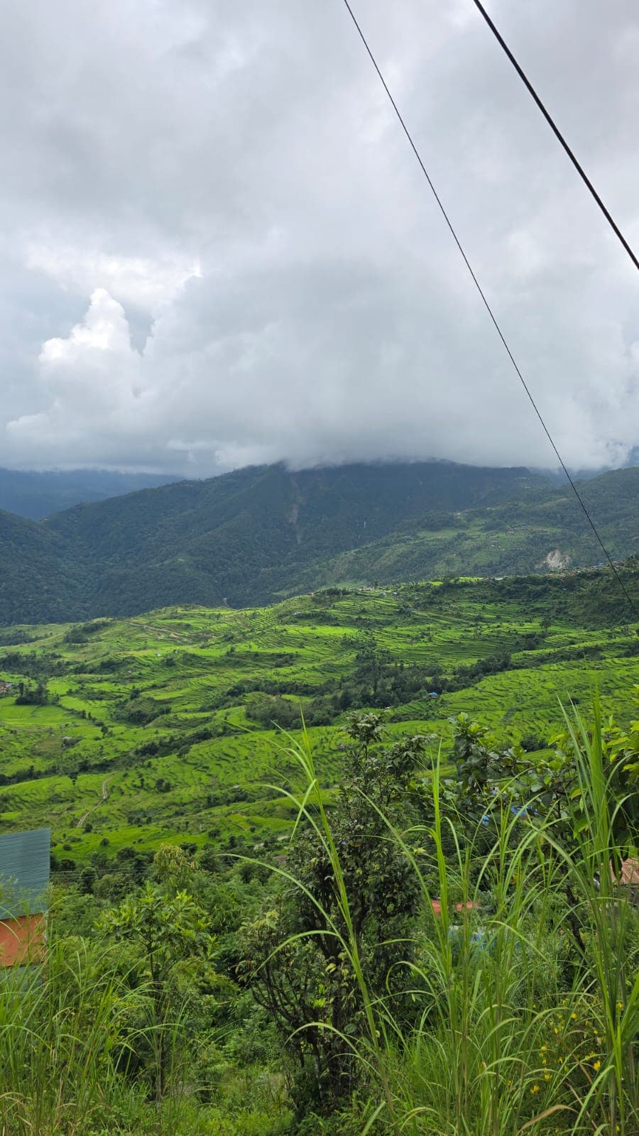 Nepal Wanderers — photo 29
