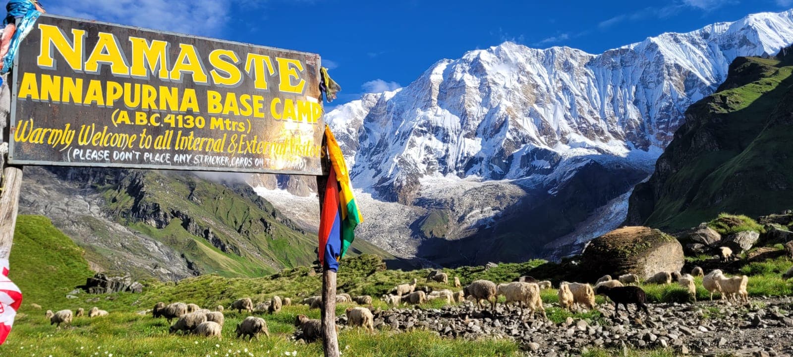 Nepal Wanderers — photo 41