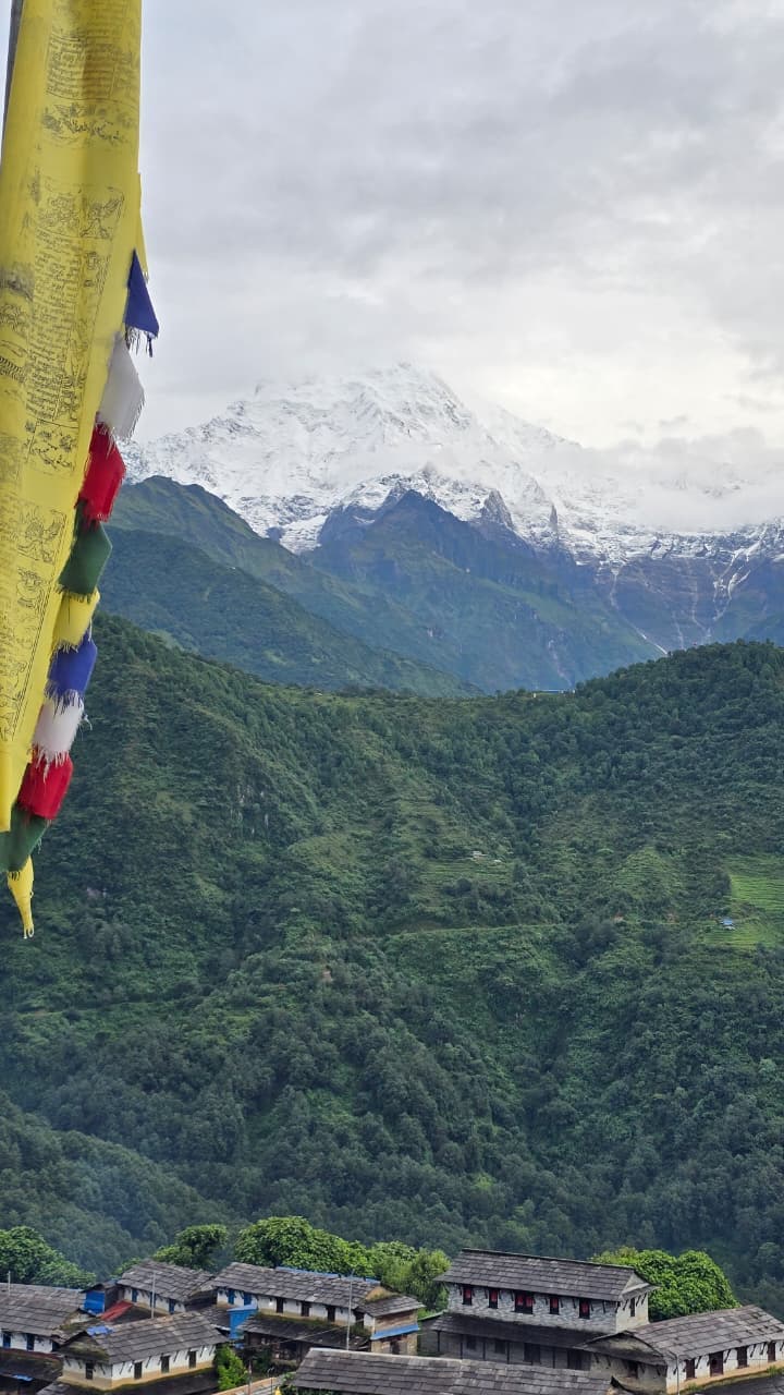 Nepal Wanderers — photo 66