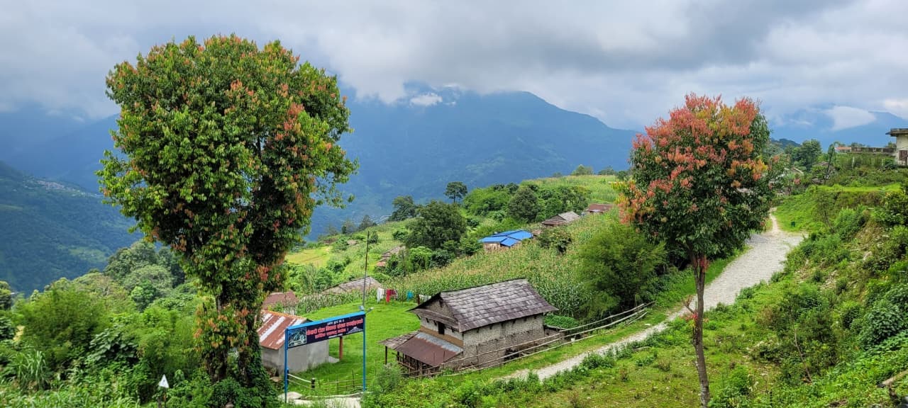Nepal Wanderers — photo 73